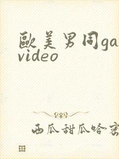 欧美男同gayvideo