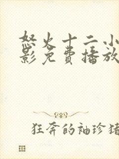 怒火十二小时电影免费播放在线观看