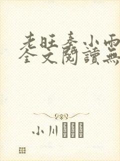 老旺秦小雨小说全文阅读无弹窗