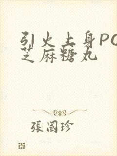 引火上身POP芝麻糖丸