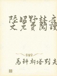 陆昭野林夜棠全文免费阅读最新章节封面