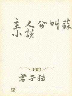 主人公叫苏晚的小说