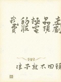 我的极品老婆免费版电视剧第二季