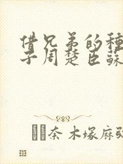 借兄弟的种生孩子周楚臣苏糖