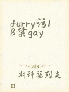 furry污18禁gay