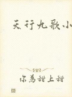 天行九歌小说封面