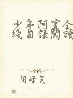 少年阿宾全集在线目录阅读全文原文