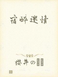 宿醉迷情封面