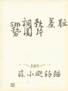 sm调教羞耻姿势图片