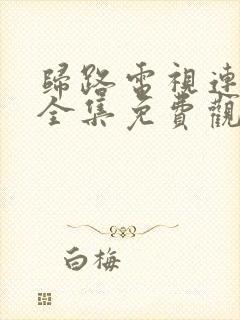 归路电视连续剧全集免费观看高清