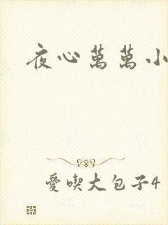 夜心万万小说