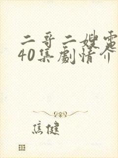 二哥二嫂电视剧40集剧情介绍