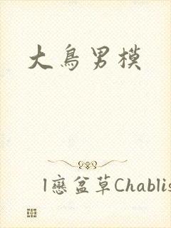 大鸟男模