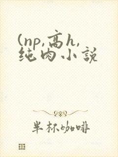 (np,高h,纯肉小说