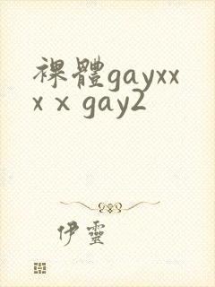 裸体gayxxxⅹgay2封面