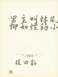 男主叫林风女主柳如烟的小说