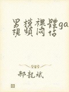 男模裸体gay视频网站封面