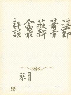 许念薇萧湛明小说最新章节免费阅读封面