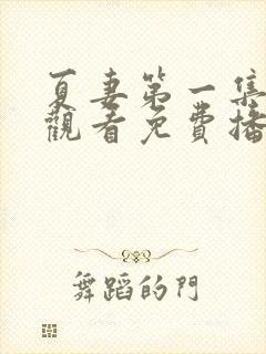 夏妻第一集在线观看免费播放电视剧