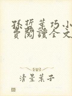 孙哲叶巧小说免费阅读全文最新章节更新时间封面