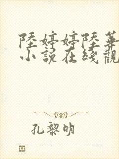 陆婷婷陆华吴亮小说在线观看