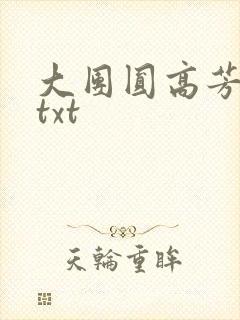 大团圆高芳小说txt封面