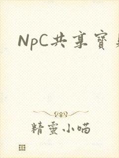 NpC共享宝贝