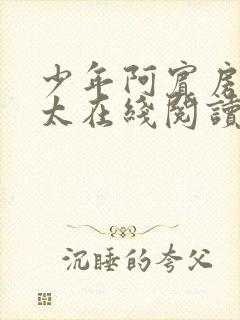 少年阿宾房东太太在线阅读