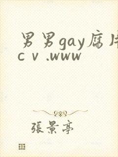 男男gay腐片cⅴ.www封面