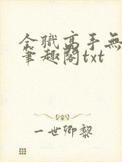全职高手无弹窗笔趣阁txt