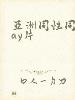 亚洲同性同志gay片