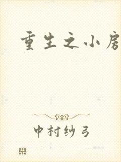 重生之小房东