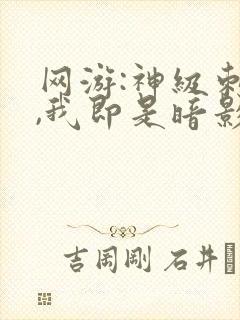 网游:神级刺客,我即是暗影