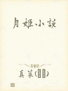 月姬小说封面