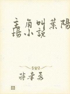 主角叫叶阳的官场小说