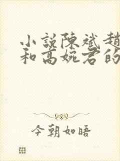 小说陈斌赵心媚和高婉君的小说免费阅读封面