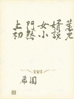 上门女婿叶辰萧初然小说免费读