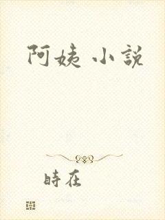 阿姨 小说