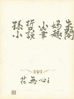 孙哲小妈朱颜的小说笔趣阁