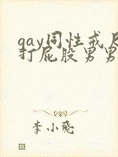 gay同性戒尺打屁股男男国产封面