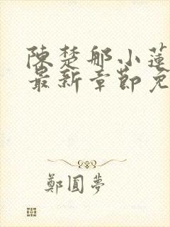 陈楚那小莲小说最新章节免费阅读