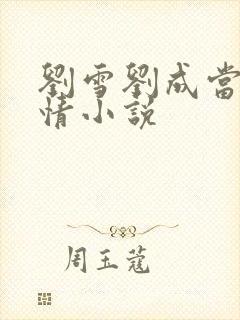 刘雪刘成当代爱情小说