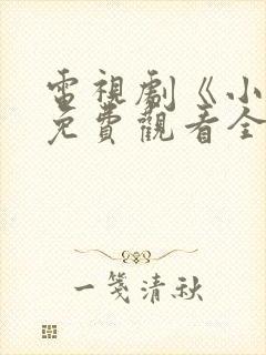 电视剧《小舅》免费观看全集高清封面