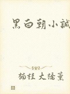 黑白朝小诚