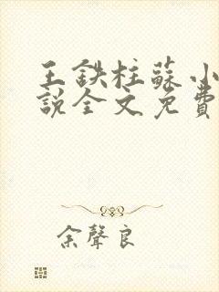 王铁柱苏小汐小说全文免费阅读最新章节封面