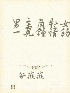 男主角对女主角一见钟情的小说