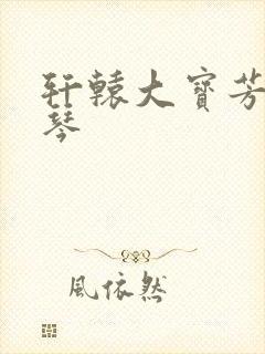 轩辕大宝芳菲雅琴