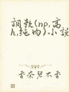 调教(np,高h,纯肉)小说