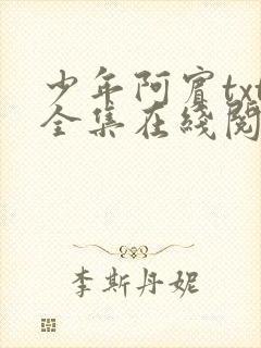 少年阿宾txt全集在线阅读