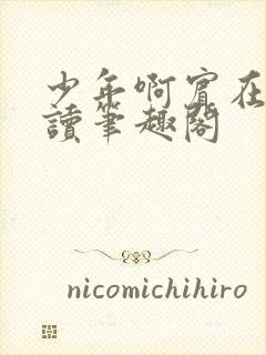 少年啊宾在线阅读笔趣阁